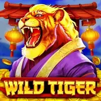 Wild Tiger spēļu automāts